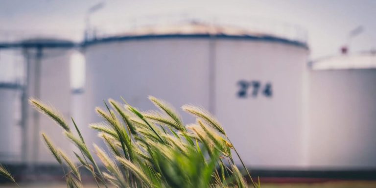 Blue Circle Olefins signs an option and service agreement with Chane